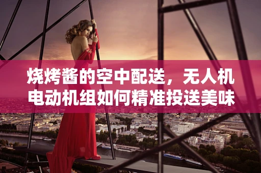 烧烤酱的空中配送，无人机电动机组如何精准投送美味？