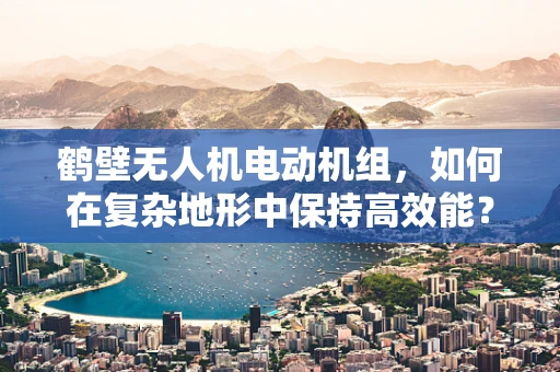 鹤壁无人机电动机组，如何在复杂地形中保持高效能？