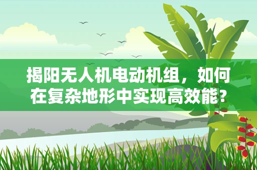 揭阳无人机电动机组，如何在复杂地形中实现高效能？