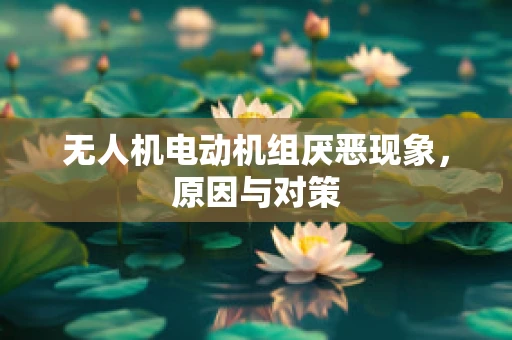 无人机电动机组厌恶现象，原因与对策
