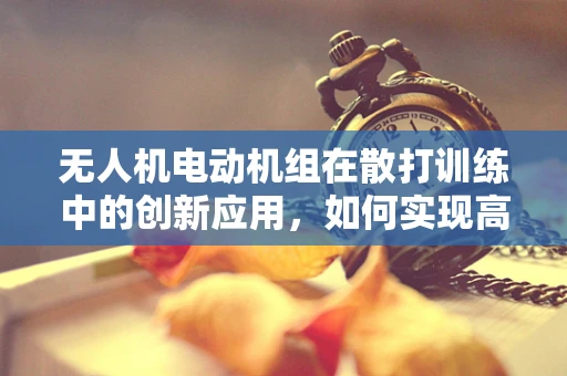 无人机电动机组在散打训练中的创新应用，如何实现高效动力与精准控制的平衡？