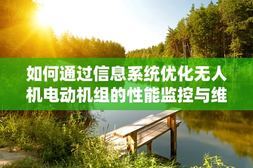 如何通过信息系统优化无人机电动机组的性能监控与维护？