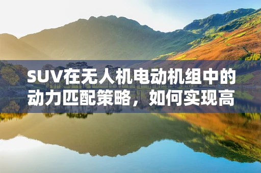 SUV在无人机电动机组中的动力匹配策略，如何实现高效与稳定？