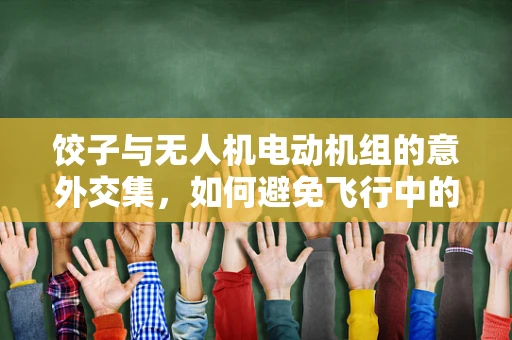 饺子与无人机电动机组的意外交集，如何避免飞行中的‘馅料’干扰？