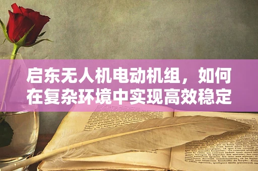 启东无人机电动机组，如何在复杂环境中实现高效稳定起降？