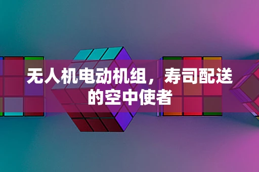 无人机电动机组，寿司配送的空中使者