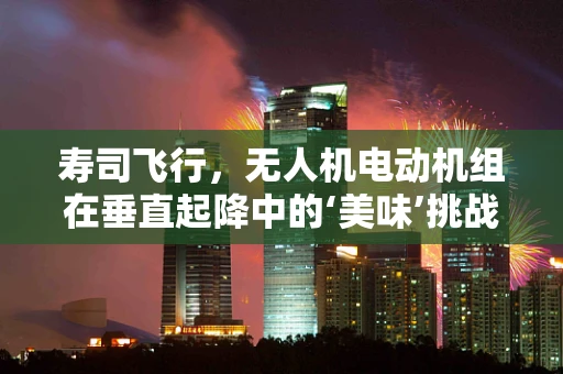 寿司飞行，无人机电动机组在垂直起降中的‘美味’挑战