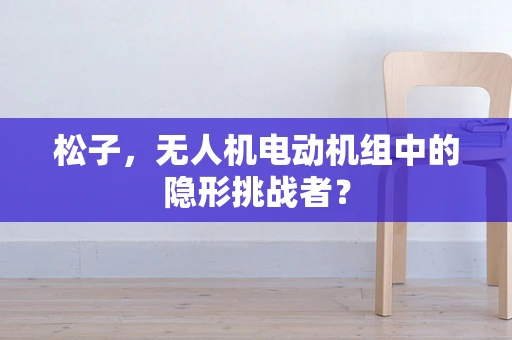 松子，无人机电动机组中的隐形挑战者？