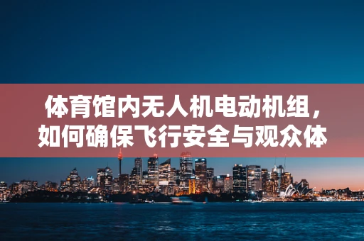 体育馆内无人机电动机组，如何确保飞行安全与观众体验的和谐共存？