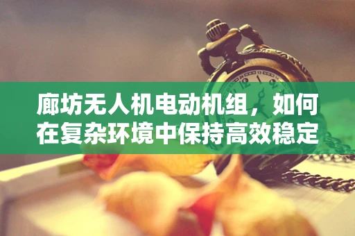 廊坊无人机电动机组，如何在复杂环境中保持高效稳定飞行？