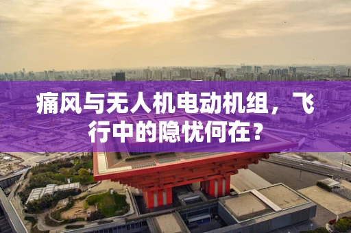 痛风与无人机电动机组，飞行中的隐忧何在？