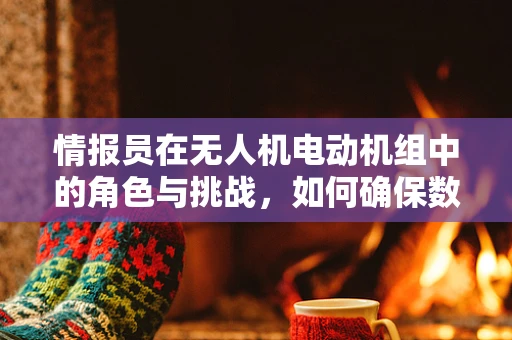 情报员在无人机电动机组中的角色与挑战，如何确保数据传输的准确性与安全性？