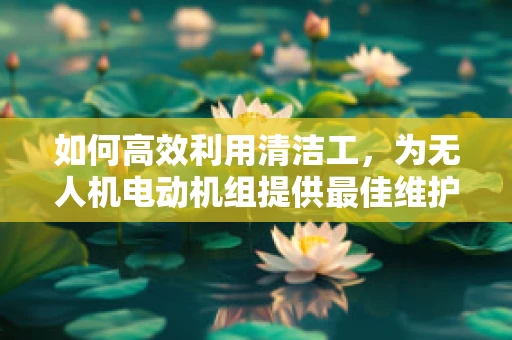 如何高效利用清洁工，为无人机电动机组提供最佳维护？