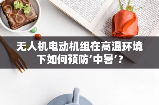 无人机电动机组在高温环境下如何预防‘中暑’？
