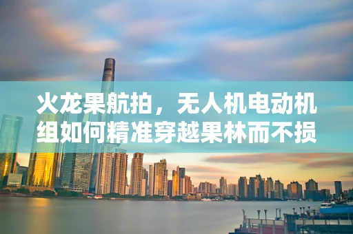 火龙果航拍，无人机电动机组如何精准穿越果林而不损一果？