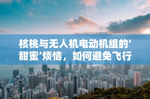 核桃与无人机电动机组的‘甜蜜’烦恼，如何避免飞行中的卡壳？