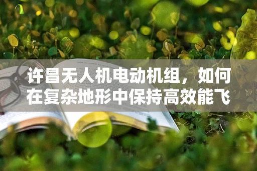 许昌无人机电动机组，如何在复杂地形中保持高效能飞行？