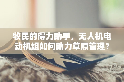 牧民的得力助手，无人机电动机组如何助力草原管理？