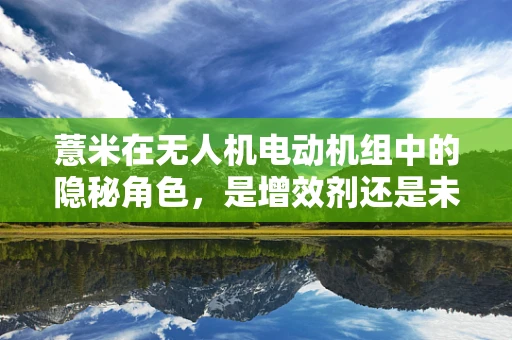 薏米在无人机电动机组中的隐秘角色，是增效剂还是未知数？