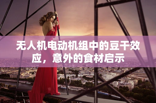 无人机电动机组中的豆干效应，意外的食材启示