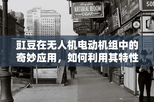 豇豆在无人机电动机组中的奇妙应用，如何利用其特性优化飞行稳定性？