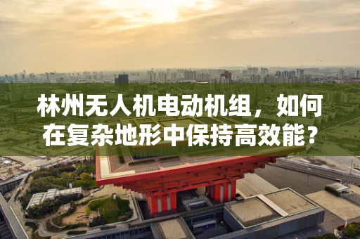 林州无人机电动机组，如何在复杂地形中保持高效能？