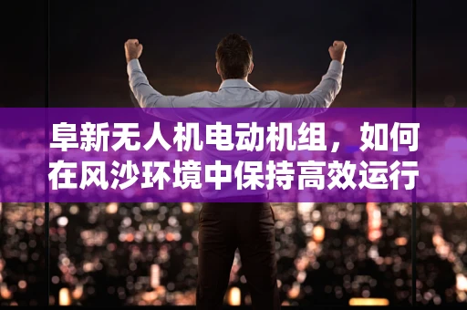阜新无人机电动机组，如何在风沙环境中保持高效运行？