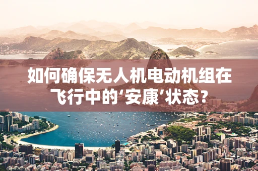 如何确保无人机电动机组在飞行中的‘安康’状态？