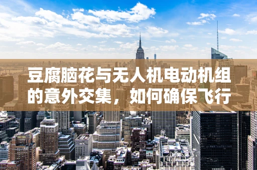 豆腐脑花与无人机电动机组的意外交集，如何确保飞行安全？