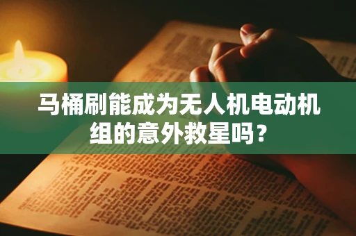 马桶刷能成为无人机电动机组的意外救星吗？