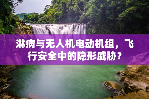 淋病与无人机电动机组，飞行安全中的隐形威胁？