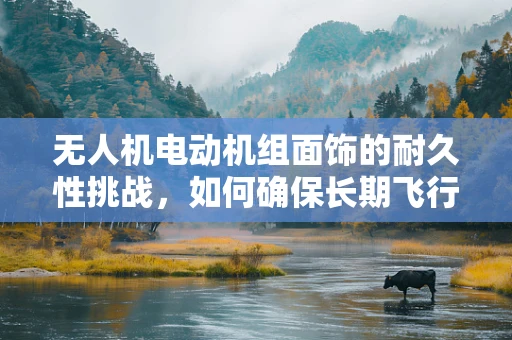 无人机电动机组面饰的耐久性挑战，如何确保长期飞行中的稳定与安全？