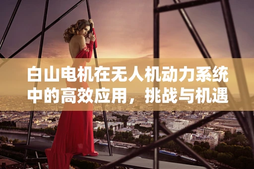 白山电机在无人机动力系统中的高效应用，挑战与机遇并存