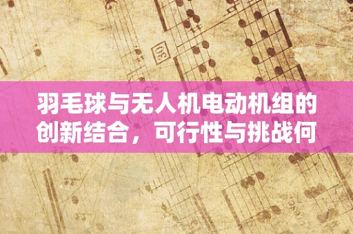 羽毛球与无人机电动机组的创新结合，可行性与挑战何在？