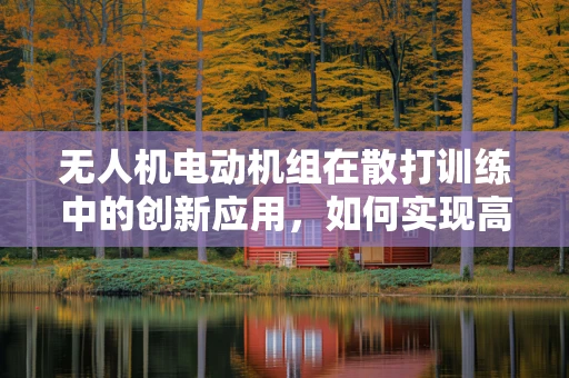无人机电动机组在散打训练中的创新应用，如何实现高效动力与精准控制的完美结合？