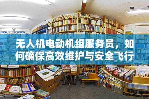 无人机电动机组服务员，如何确保高效维护与安全飞行？