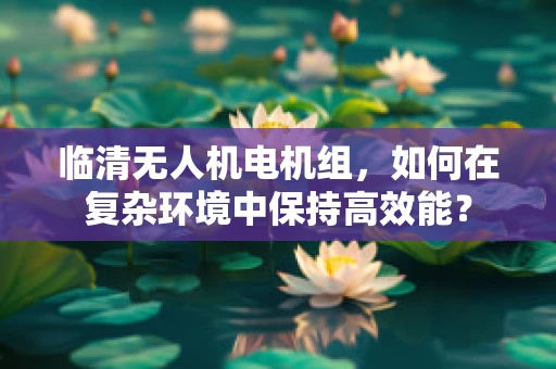 临清无人机电机组，如何在复杂环境中保持高效能？