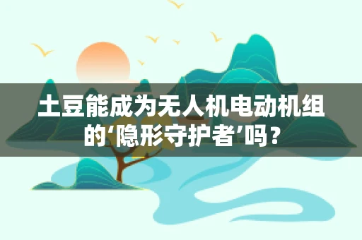 土豆能成为无人机电动机组的‘隐形守护者’吗？