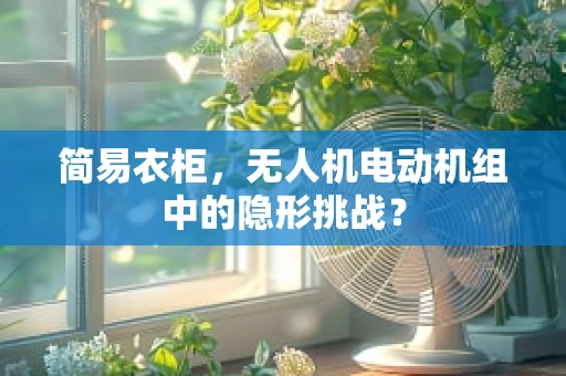 简易衣柜，无人机电动机组中的隐形挑战？