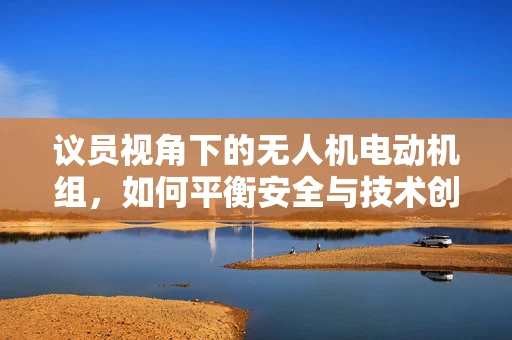 议员视角下的无人机电动机组，如何平衡安全与技术创新？