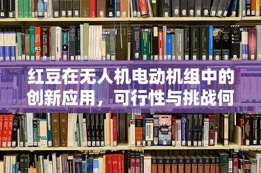 红豆在无人机电动机组中的创新应用，可行性与挑战何在？