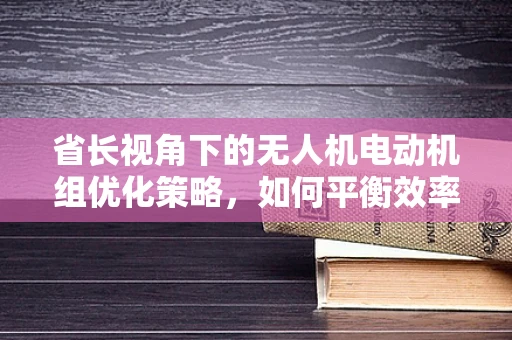 省长视角下的无人机电动机组优化策略，如何平衡效率与成本？