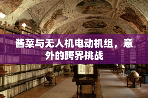 酱菜与无人机电动机组，意外的跨界挑战