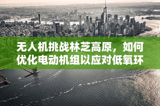 无人机挑战林芝高原，如何优化电动机组以应对低氧环境？