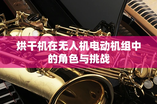 烘干机在无人机电动机组中的角色与挑战