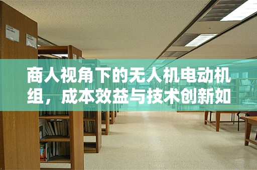 商人视角下的无人机电动机组，成本效益与技术创新如何平衡？