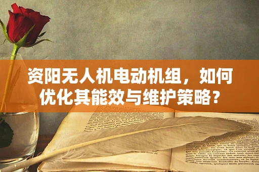 资阳无人机电动机组，如何优化其能效与维护策略？