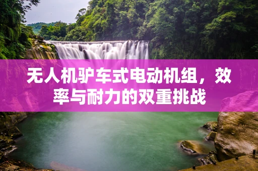 无人机驴车式电动机组，效率与耐力的双重挑战