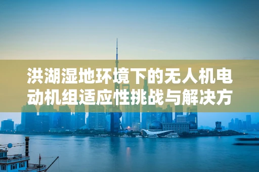 洪湖湿地环境下的无人机电动机组适应性挑战与解决方案