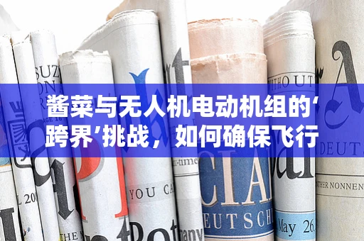 酱菜与无人机电动机组的‘跨界’挑战，如何确保飞行安全？